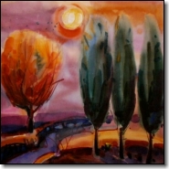 Evening