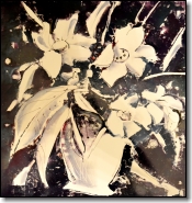 Stillife
